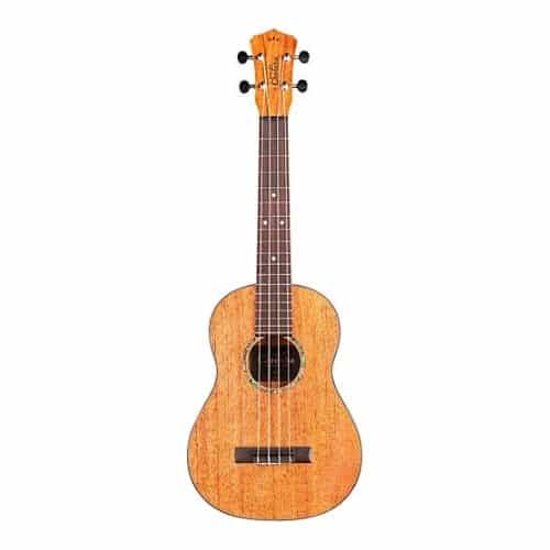 Cordoba 30t tenor ukulele